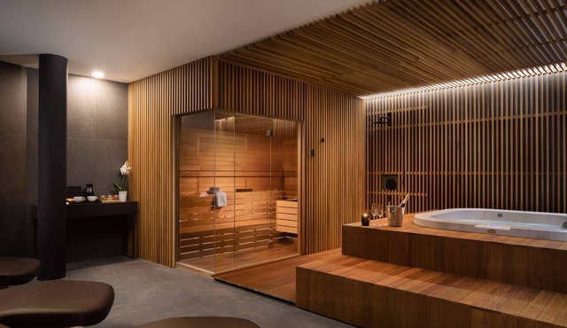 Villa Ritz DaySpa - 5 star villa with a pool, spa with a Jacuzzi and sauna, gym and e-bikes by MyWaycation