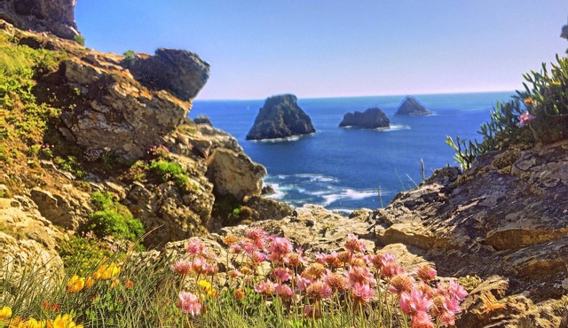 Villa Roscanvel, 3 bedrooms, 6 persons