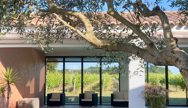 Villa Sarment in the heart of an Oleron vineyard