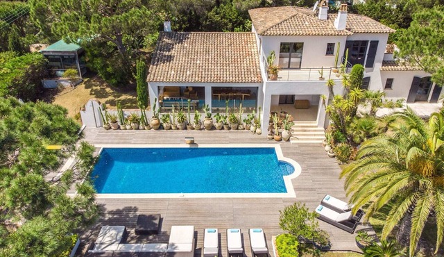 Villa Soli Summary: V