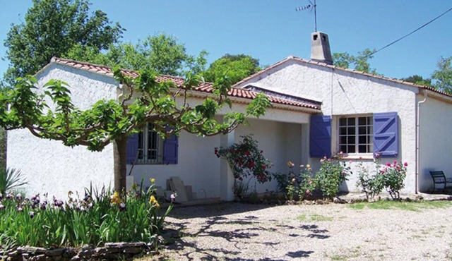 Villa Sophora in Lorgues