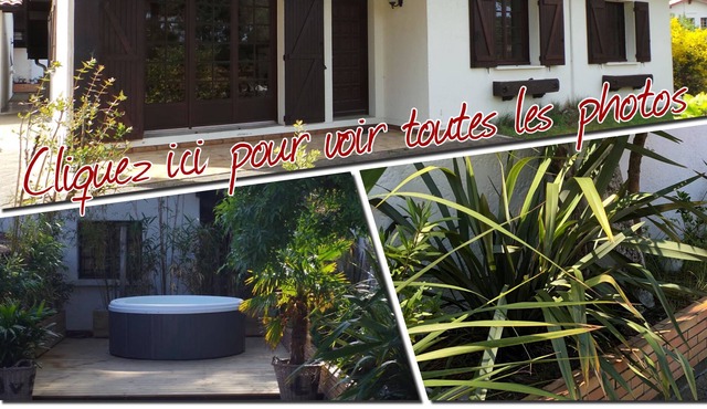 Villa + SPA between Basin and Ocean