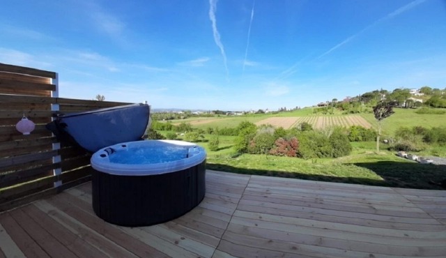 Villa sur les Hauteurs D'albi