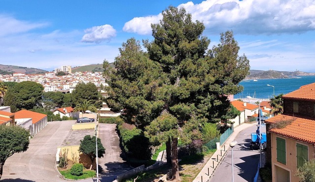 Villa T3 in Banyuls-sur-Mer, 2 terraces, garage