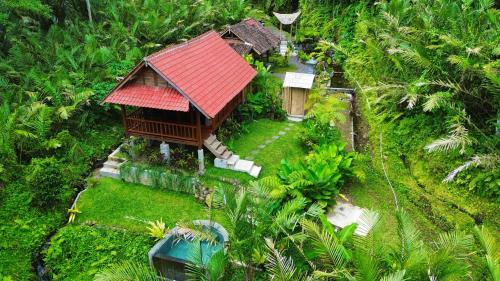 Villa The Payung House
