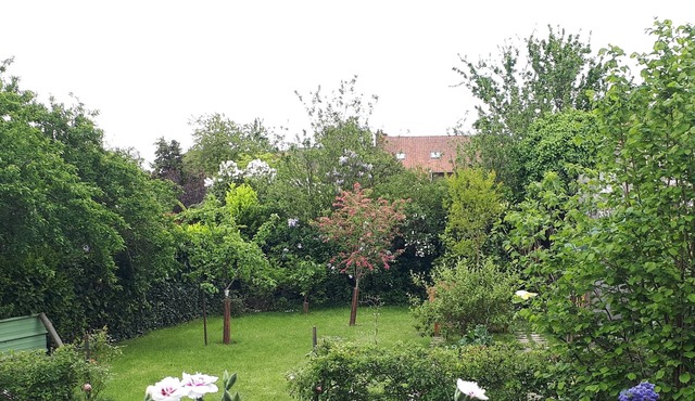 Villa Thérèse: a country house in the center of town, close to the sea!