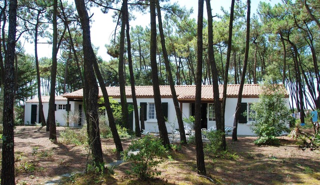 VILLA UNDER THE PINS 100 M FROM THE BEACH 12 PEOPLE