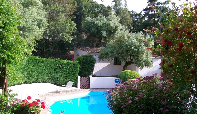 VILLA UNDER THE OLIVE TREES