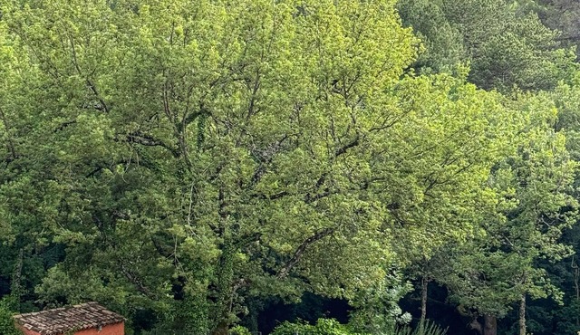 Villa Vauvert, enchanting Provencal home with private infinity pool