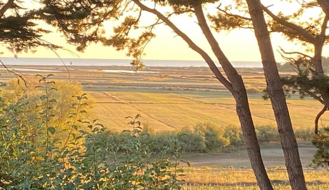 Villa Vieilles Vignes vue mer