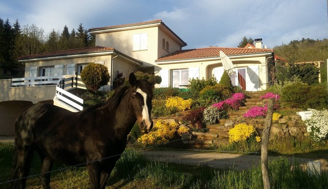 VILLA, VIEW, VOLCANO PARK, BEACH, SAILING, SKIING, MOUNTAIN BIKING, ACTIVITIES