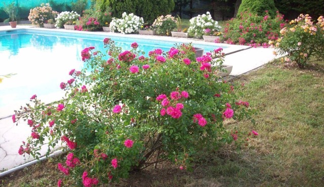 Villa with private pool