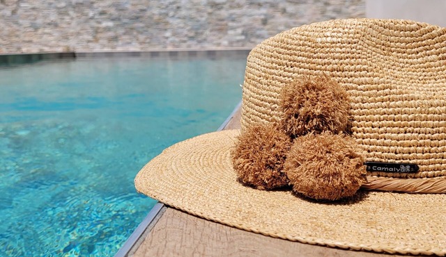 Villa with garden, pool and pool house 3 min from Pezenas and 15 min from the beach