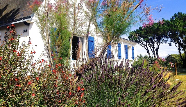 Villa with garden 250 m from the sea and the wild coast in a quiet