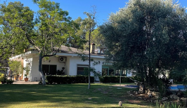 Villa with large garden and private pool, ideal for family and friends gatherings.