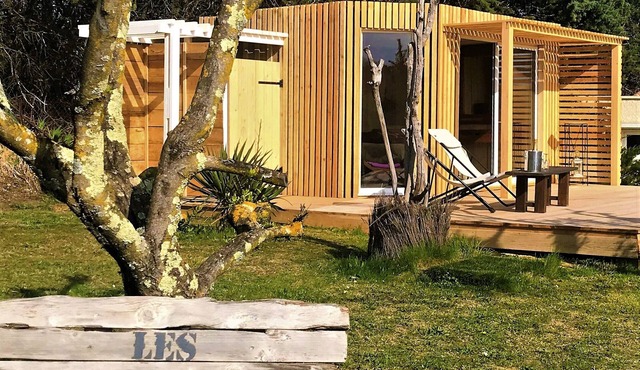 Villa with olive garden, Jacuzzi, pétanque, ping pong table