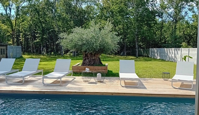 Villa with pool near the oceann