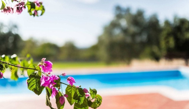 Villa with perfect sun deck overlooking the pool in the heart of Istria