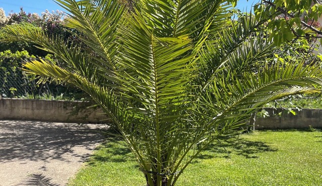 Villa with pool and air conditioning