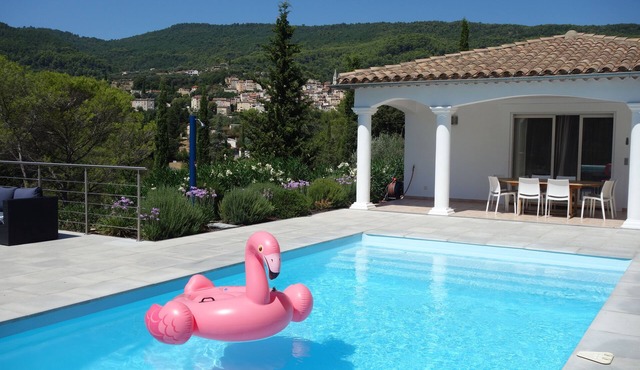 Villa with pool between the Côte d'Azur and the Gorges du Verdon (8 people)