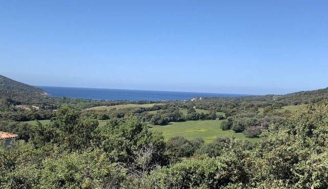 Villa with pool, between olive trees and sea - fantastic view!