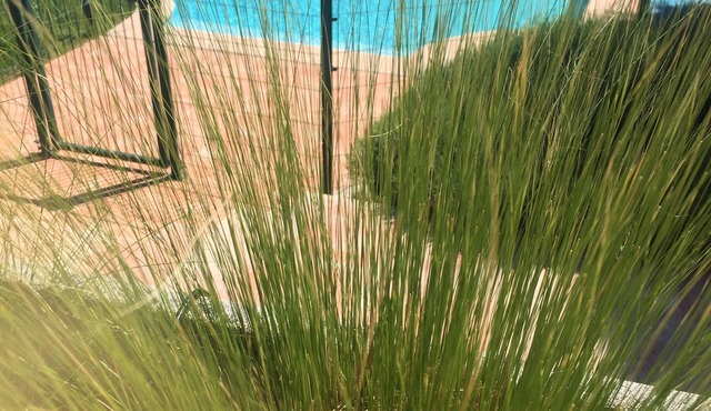 Villa with Pool in a private domain in Valbonne -