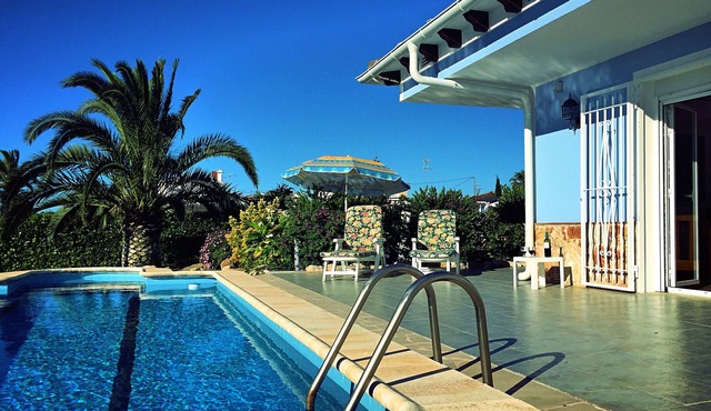 Villa with private pool, green blooming garden and palm near the beach