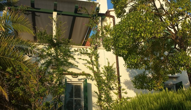 Villa with stunning views and beautiful garden in quiet location by the sea