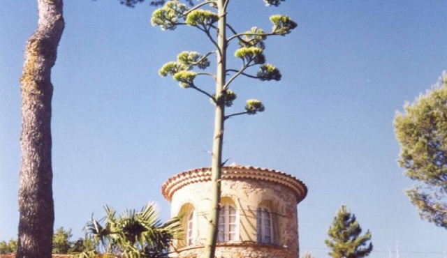villa (with tower of stones and swimmingpool) - privatly owned ground of 6 ha - beautiful view - 5 rooms - 8 persons