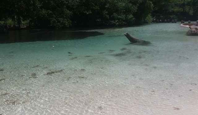 Villa Ximenoa River - Excelent Vacation Rental