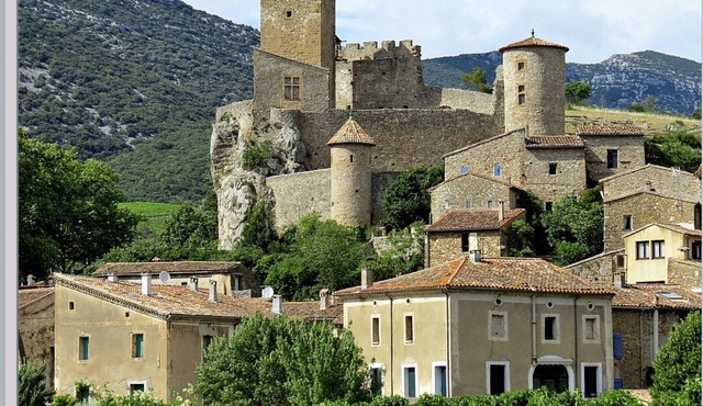 Village house with garden
