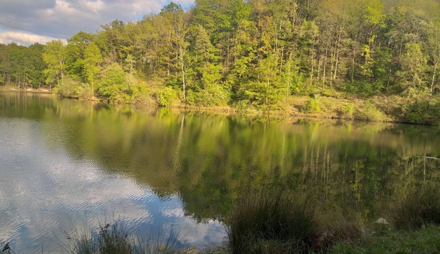 Village house ♥️