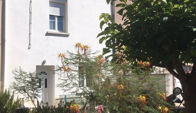 Village house near a feudal castle (FOIX)