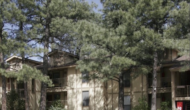 Village Lodge Condos