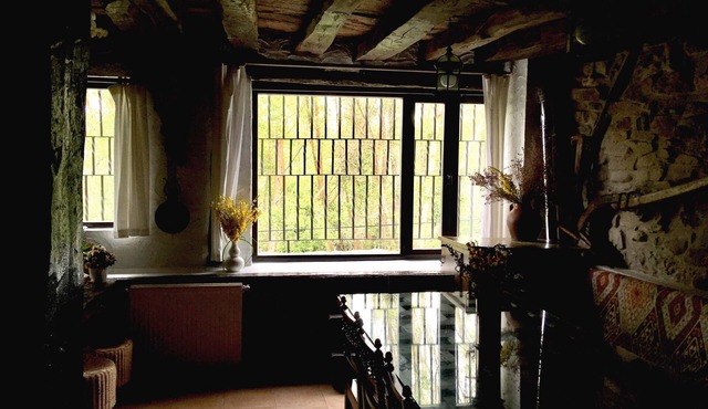 Villapajar, rural house by the river in the Sierra de la Demanda, 26km from Burgos