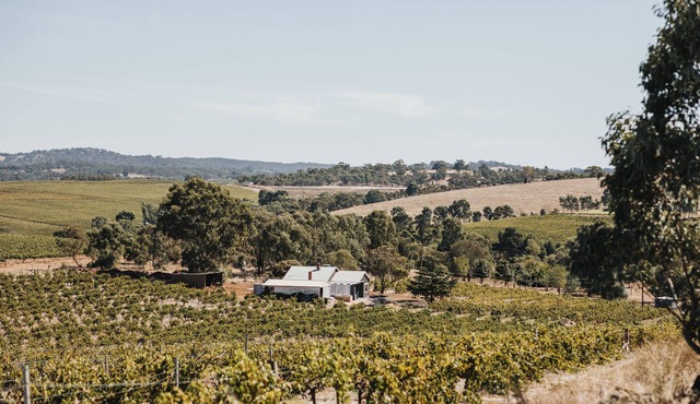 Vineview Cottage- A Farmhouse Cottage set on a Riesling Vineyard. Near Wineries!