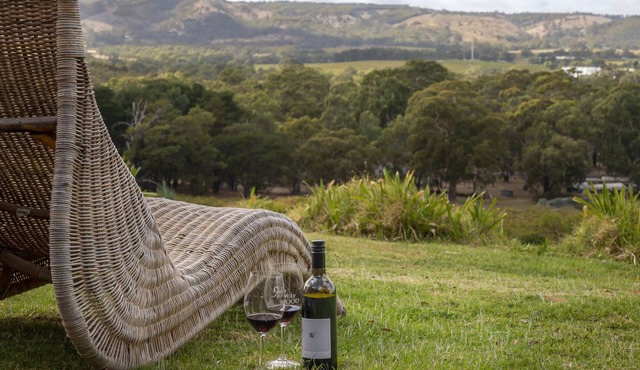 Vineyard accommodation with stunning views