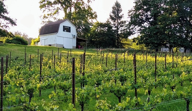 Vineyard Cottage Barn | Eola-Amity Hills Retreat