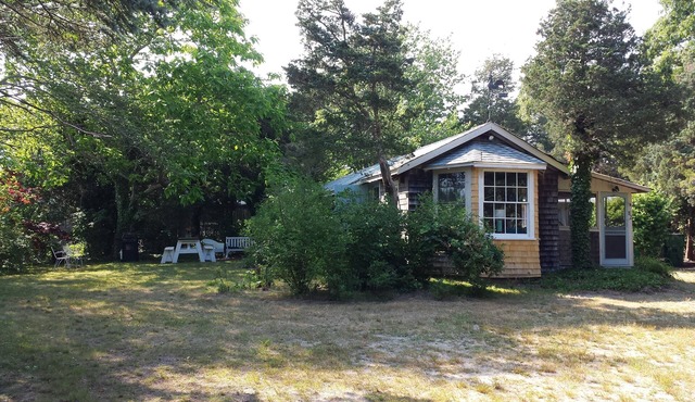 Vineyard Cottage Charm, Walk to Beach, On Bike Path, Near Town