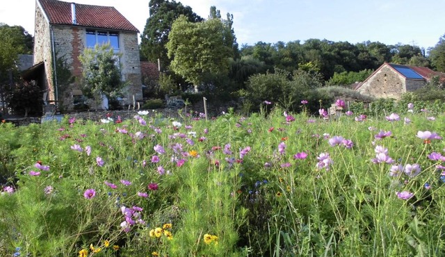 Vineyard Garden Studio
