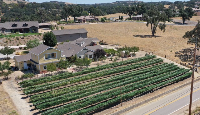 Vineyard Guest House, Fabulous Views and Covered Parking