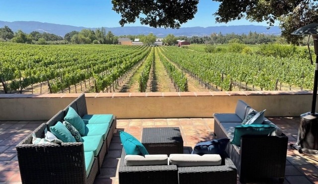 Vineyard Home for the Art Lover