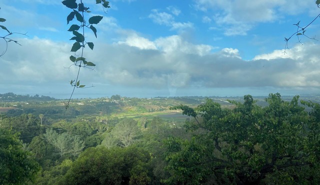 Vineyard House Carpinteria CA