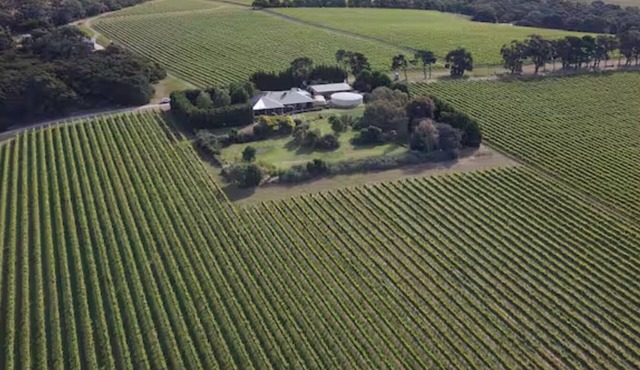 Vineyard Lane - Winery Escape!