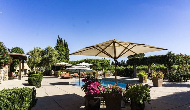 Vineyard Poolside King Studio with Private Entrance