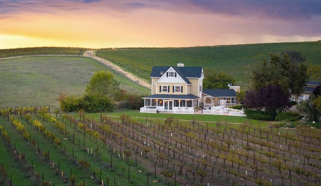 Vineyard Retreat in a Stunning Vineyard Setting and Views, Hot Tub, and More