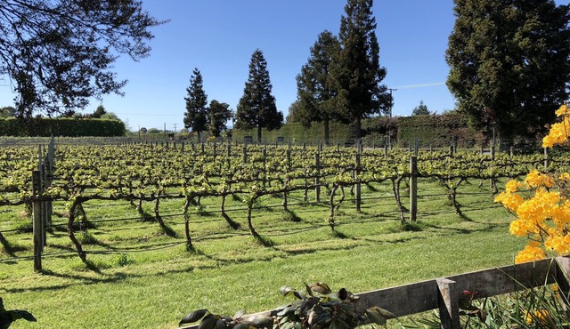 Vineyard Retreat near stunning Abel Tasman