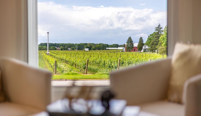 Vineyard Views Niagara ☆ Stunning Brand New 2 Bedroom Home w/Sauna