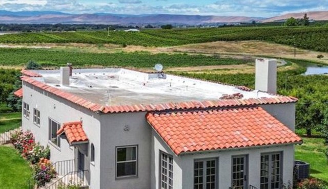 Vineyard Vibes in the Yakima Valley