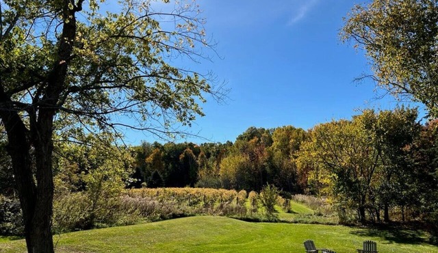 Vineyard View – Cozy Family Retreat